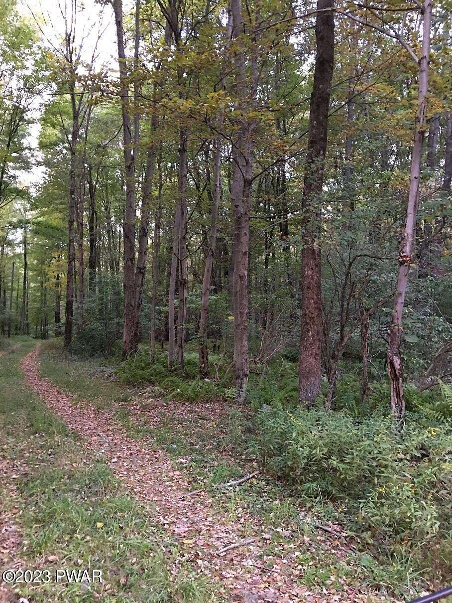 4.2 Acres of Residential Land for Sale in Newfoundland, Pennsylvania