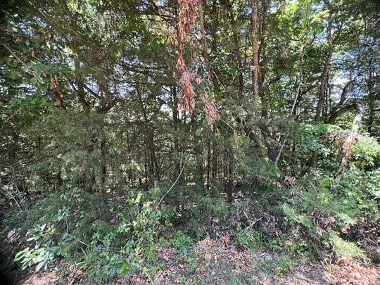 0.36 Acres of Residential Land for Sale in Holiday Island, Arkansas