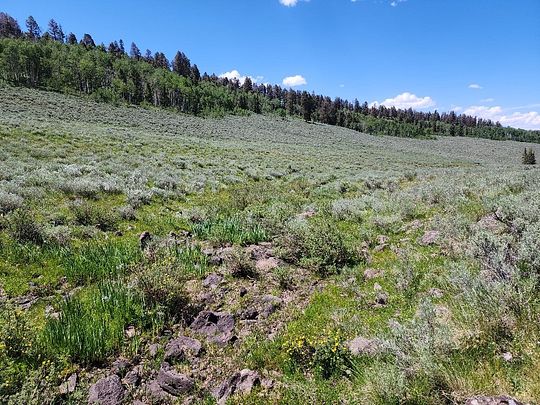 40 Acres of Recreational Land & Farm for Sale in Powderhorn, Colorado