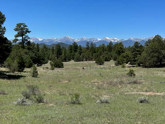 81 Acres of Recreational Land for Sale in Cotopaxi, Colorado