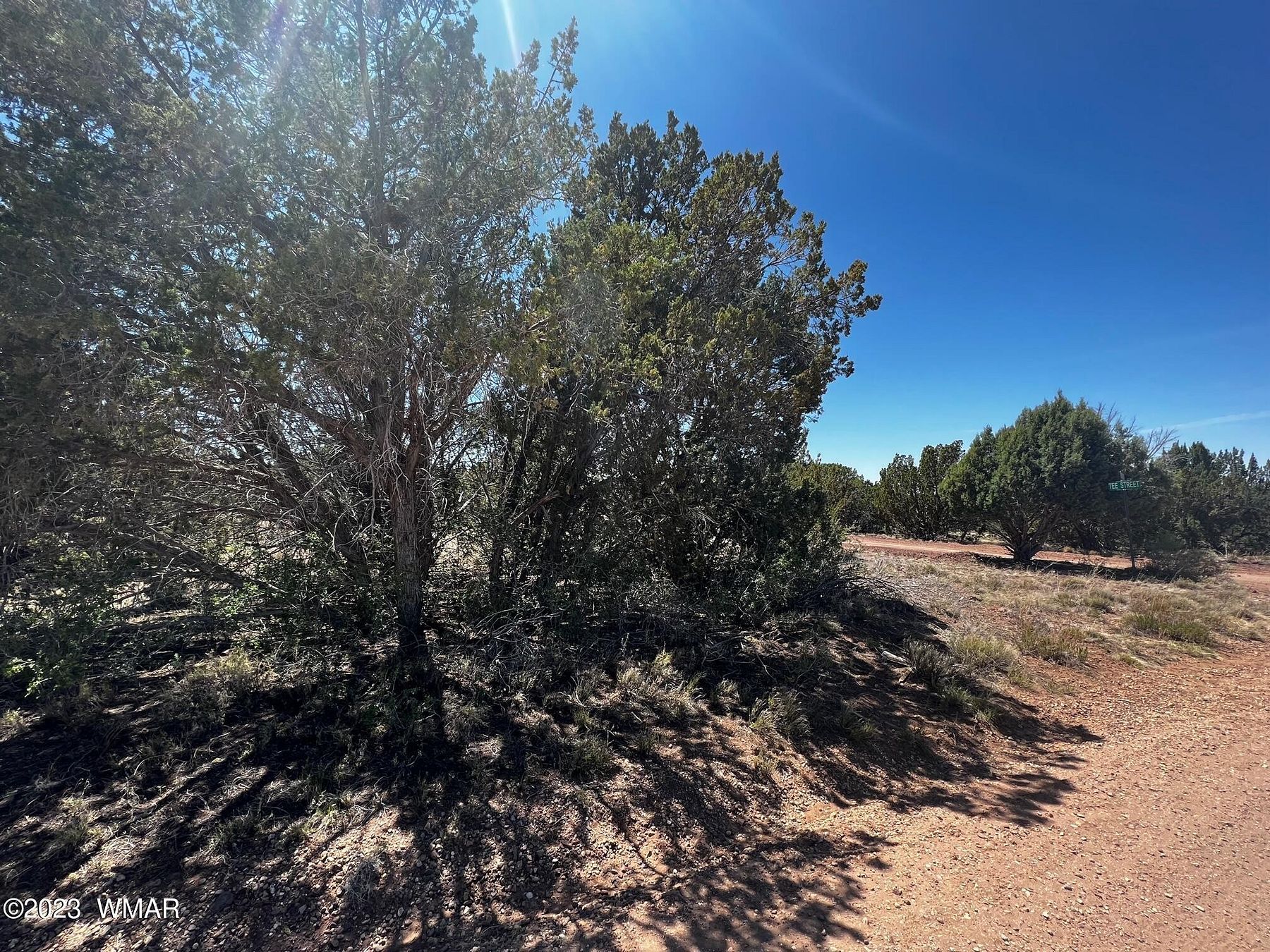 1.5 Acres of Residential Land for Sale in White Mountain Lake, Arizona