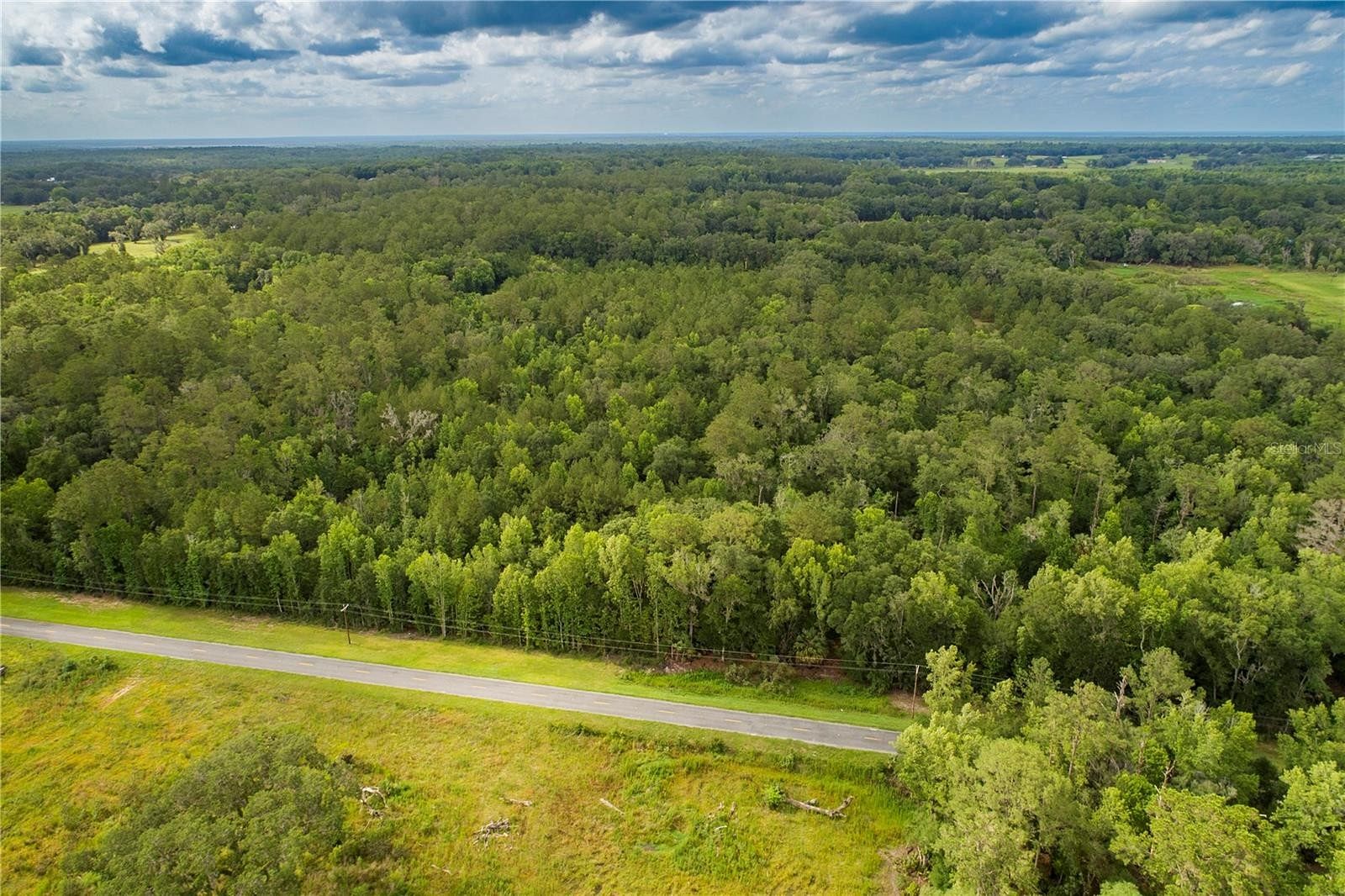 47 Acres of Land for Sale in Micanopy, Florida