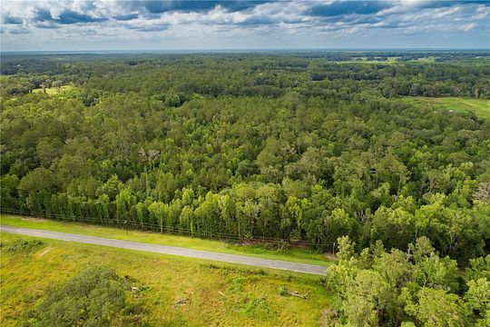 47 Acres of Agricultural Land for Sale in Micanopy, Florida