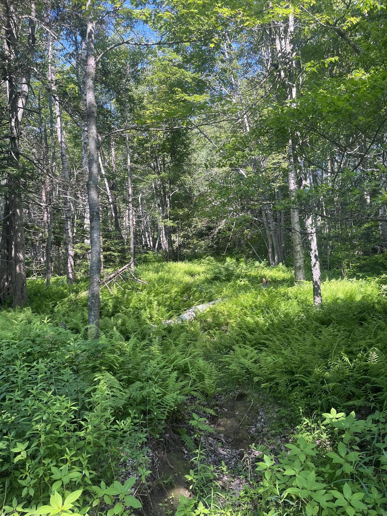 0.23 Acres of Residential Land for Sale in Saint George, Maine