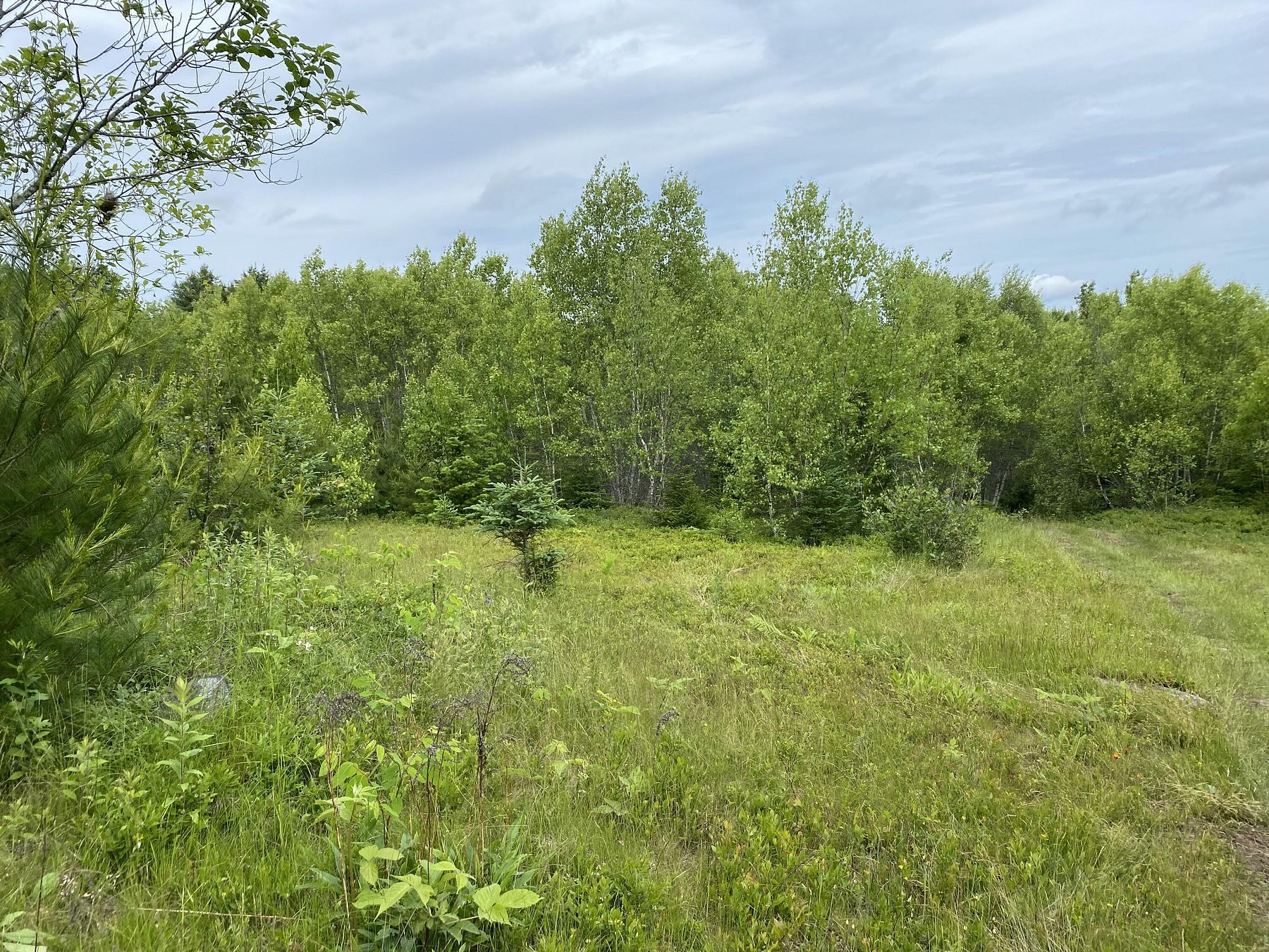 8 Acres of Residential Land for Sale in Cherryfield, Maine