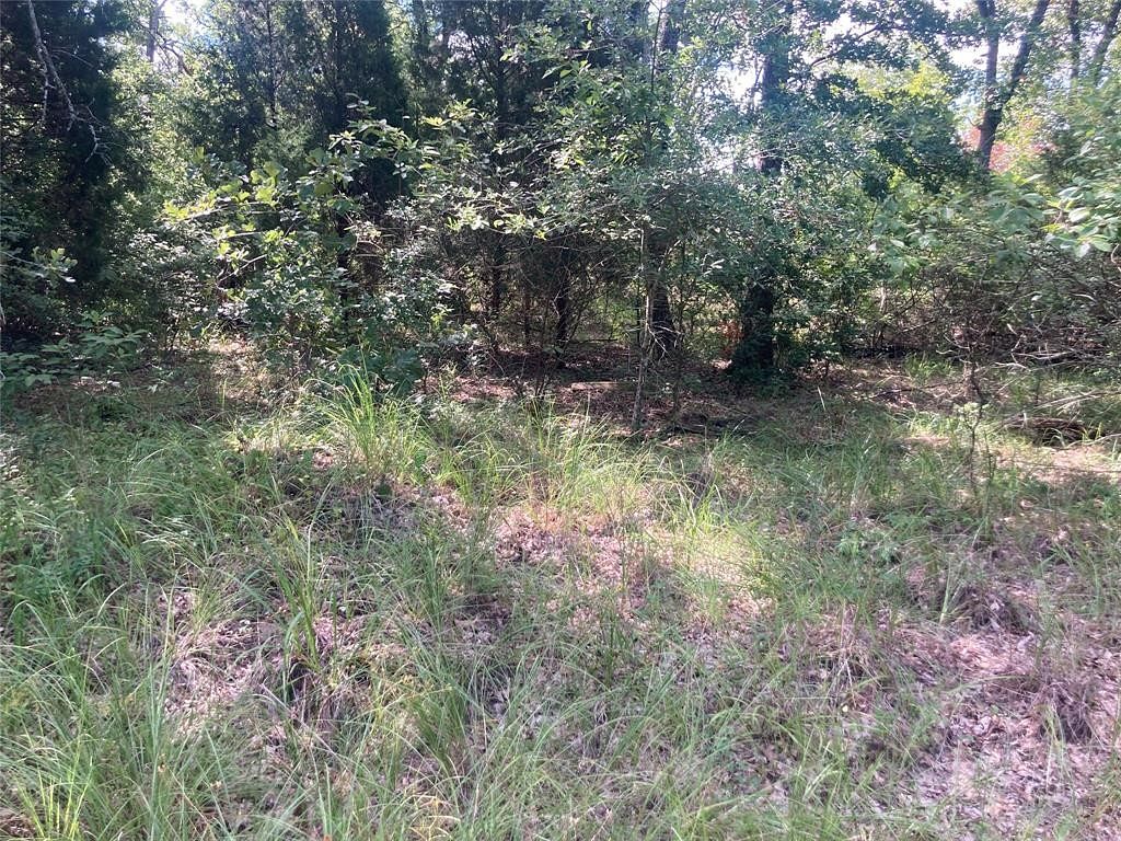 0.12 Acres of Residential Land for Sale in Log Cabin, Texas