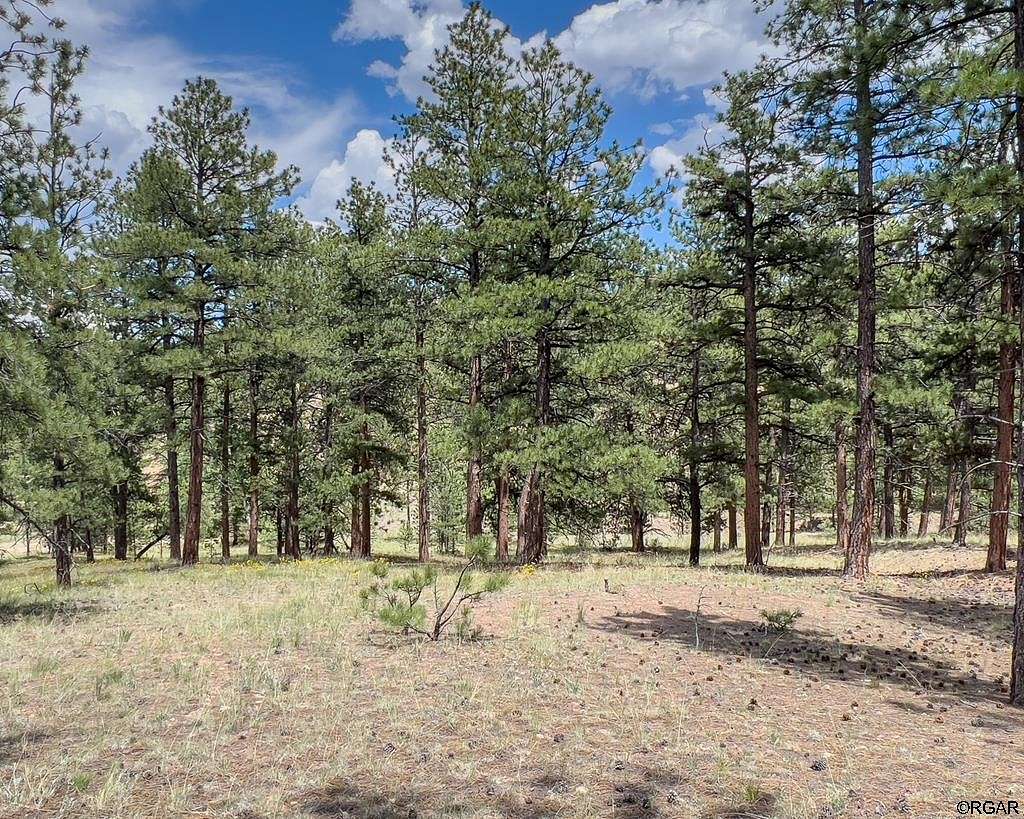 5.6 Acres of Residential Land for Sale in Westcliffe, Colorado