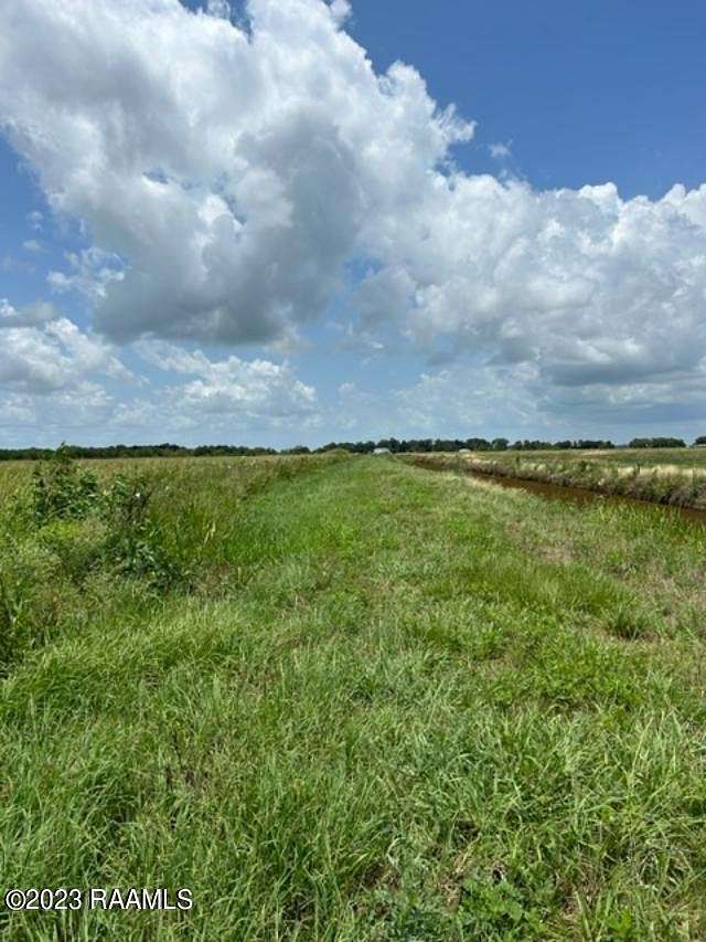 Land for Sale in Kaplan, Louisiana