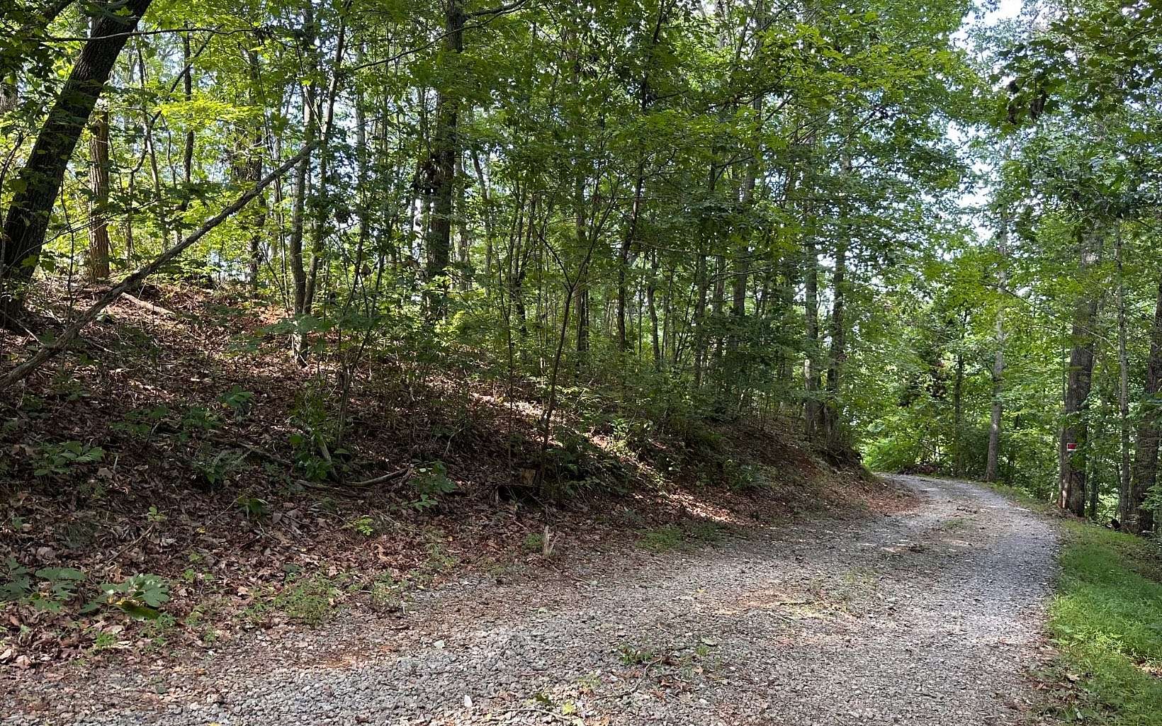 0.37 Acres of Residential Land for Sale in Blue Ridge, Georgia