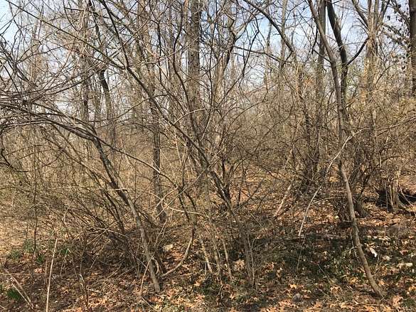 0.45 Acres of Land for Sale in Sunset Hills, Missouri