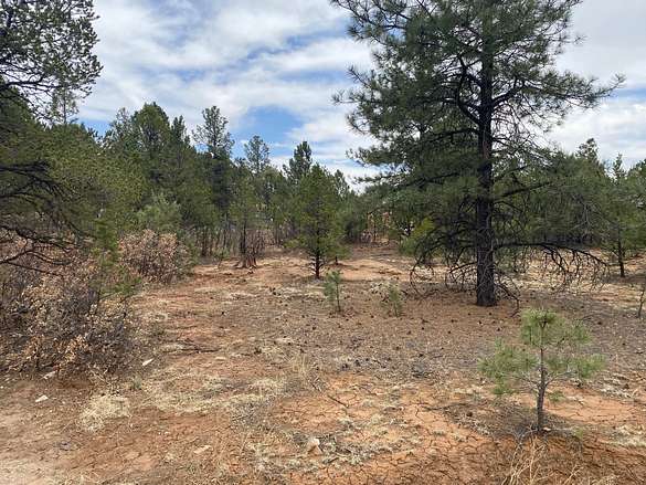 0.53 Acres of Residential Land for Sale in Pecos, New Mexico
