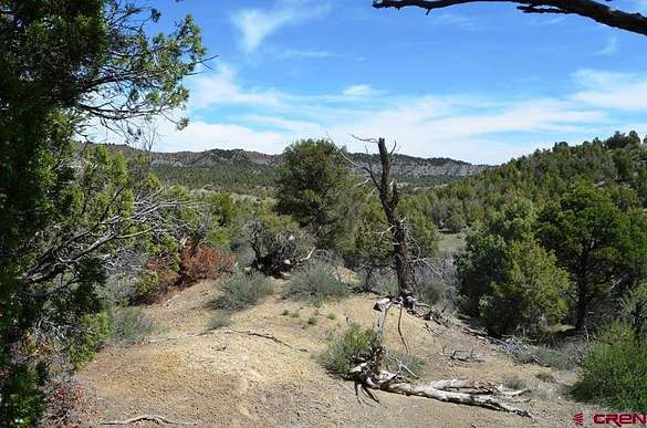 115 Acres of Land for Sale in Durango, Colorado
