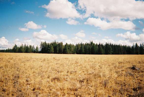 9.9 Acres of Residential Land for Sale in Bly, Oregon
