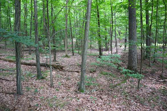 55.7 Acres of Recreational Land for Sale in Nassau, New York