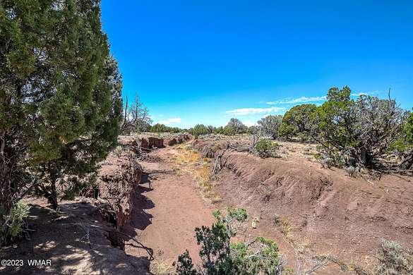 37 Acres of Recreational Land & Farm for Sale in Concho, Arizona