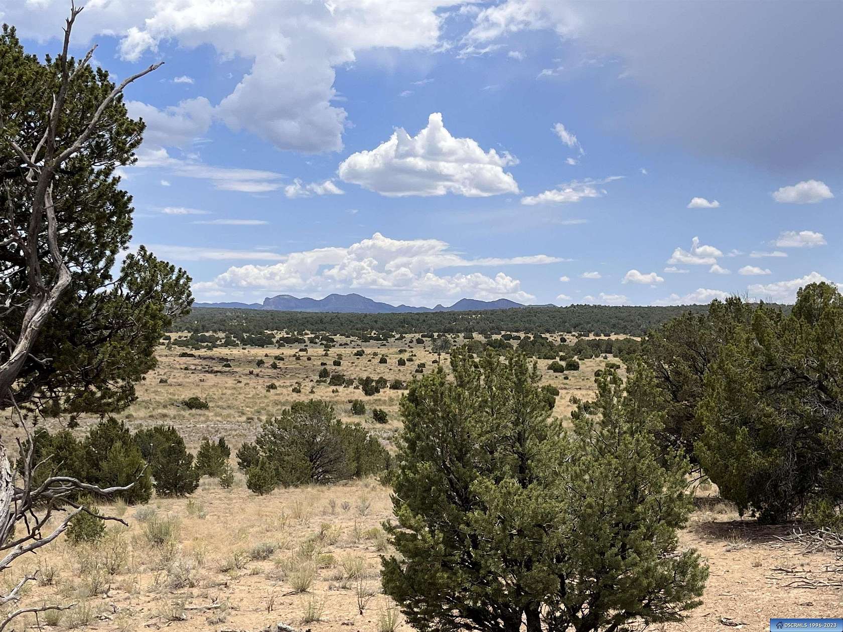 144 Acres of Land for Sale in Pie Town, New Mexico