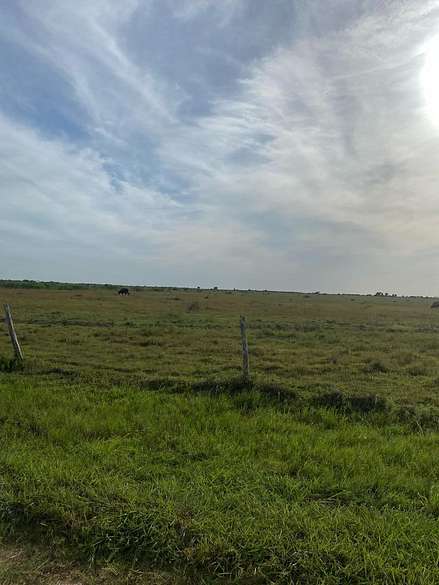 161 Acres of Agricultural Land for Sale in Collegeport, Texas