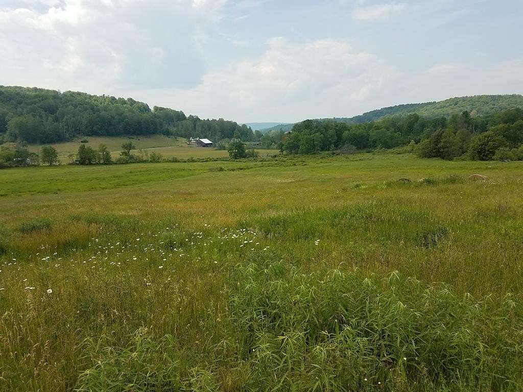 67.99 Acres of Land for Sale in New Albany, Pennsylvania