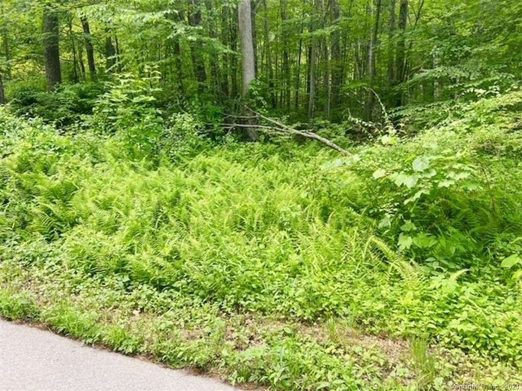 2.5 Acres of Residential Land for Sale in Hampton, Connecticut