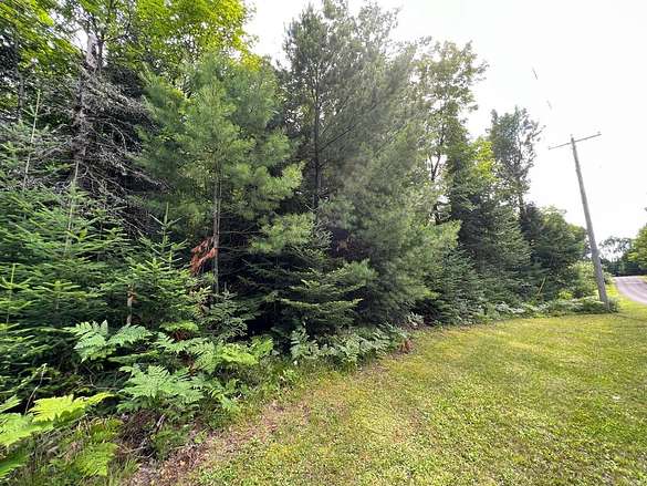 2 Acres of Land for Sale in Mercer, Wisconsin