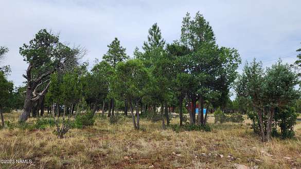 0.73 Acres of Residential Land for Sale in Happy Jack, Arizona