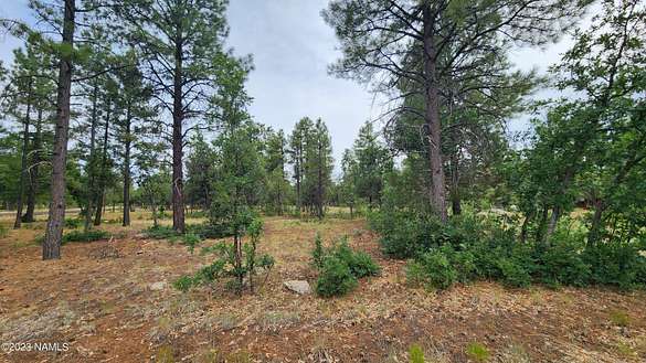 0.96 Acres of Residential Land for Sale in Happy Jack, Arizona