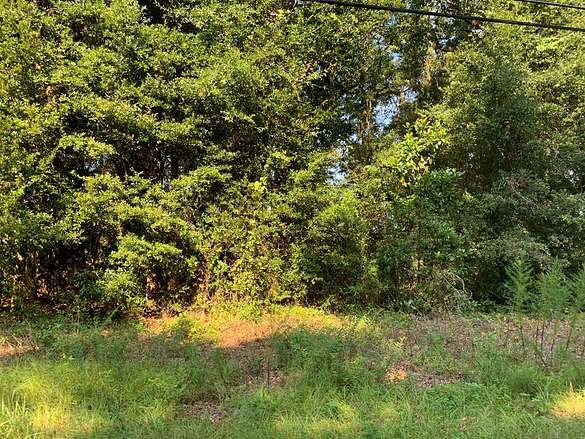 0.14 Acres of Residential Land for Sale in Lake Park, Georgia