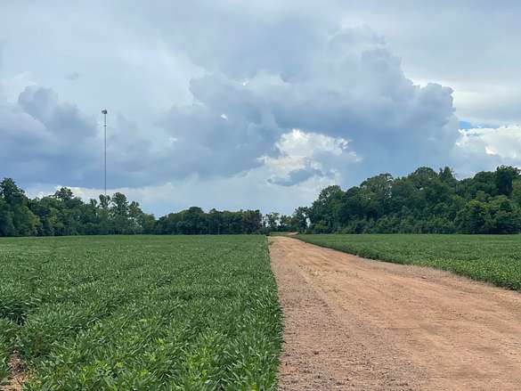 200 Acres of Land for Sale in Colfax, Louisiana