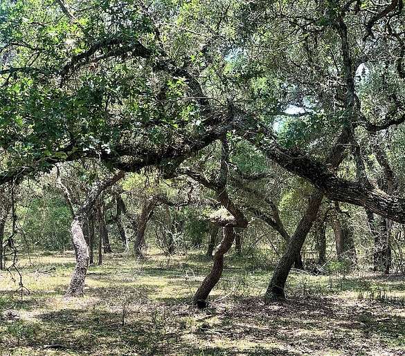 11 Acres of Land for Sale in Hallettsville, Texas LandSearch