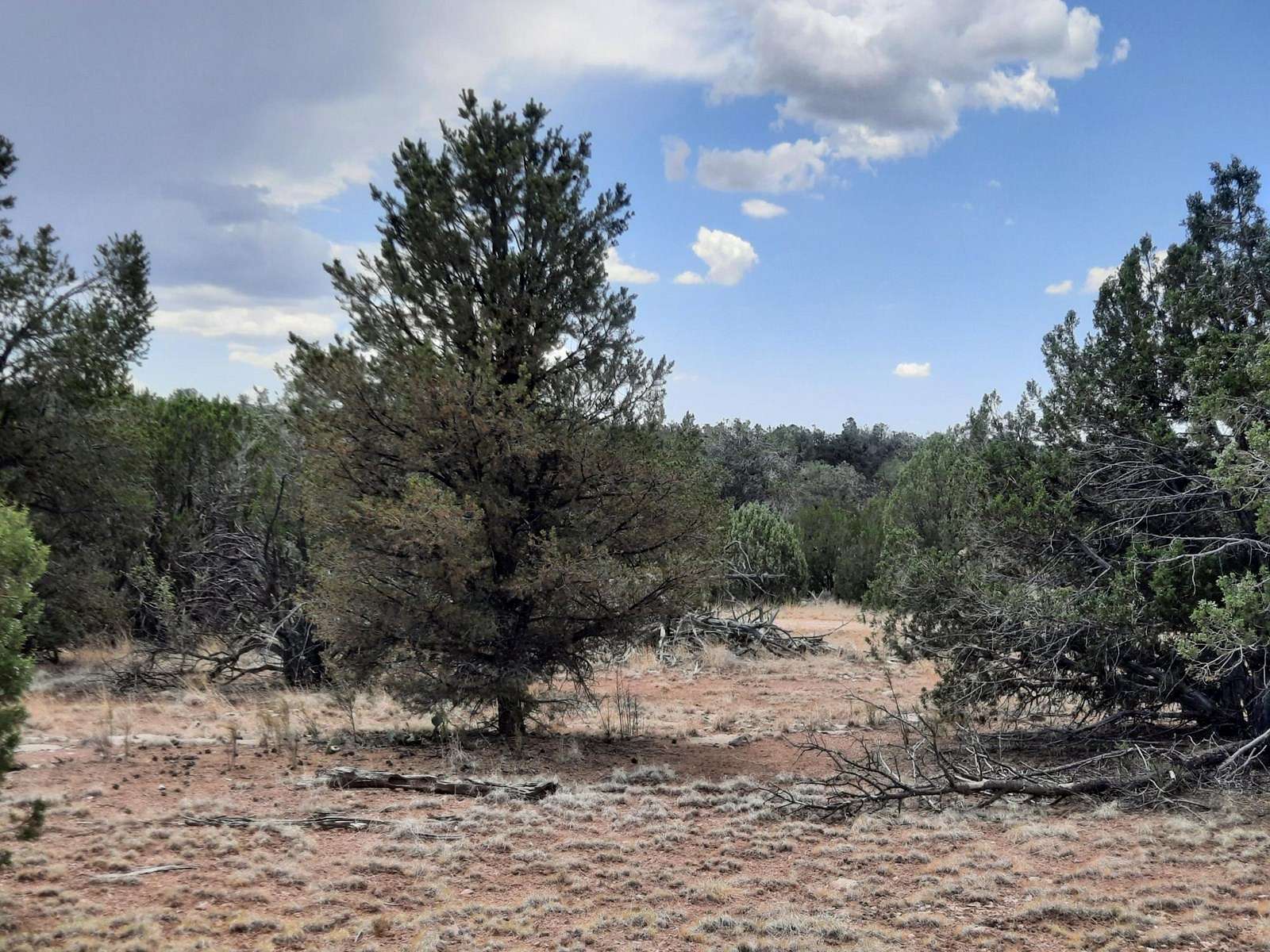 2.2 Acres of Recreational Land for Sale in Seligman, Arizona