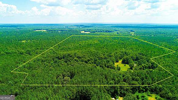 145 Acres of Land for Sale in Greenville, Georgia