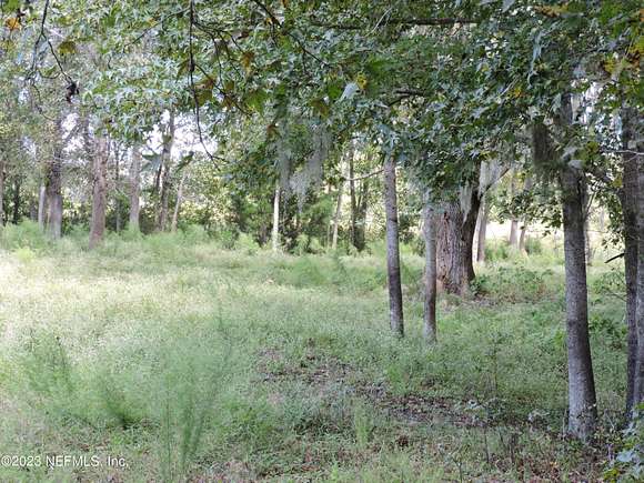 40 Acres of Agricultural Land for Sale in Palatka, Florida