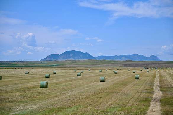 6,824 Acres of Improved Recreational Land & Farm for Sale in Grass Range, Montana