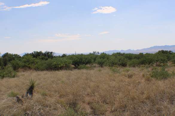 74.5 Acres of Land for Sale in St. David, Arizona