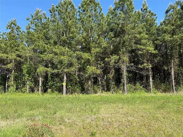 1 Acre of Residential Land for Sale in Princeton, Louisiana