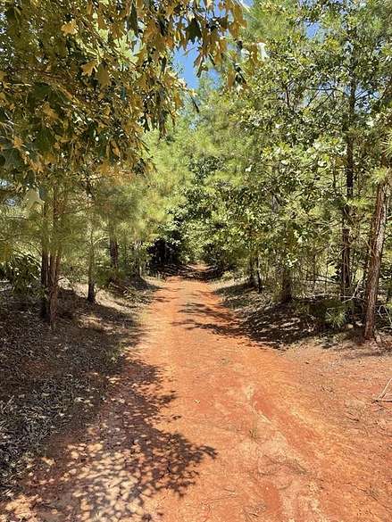 20.4 Acres of Land for Sale in Winnsboro, Texas