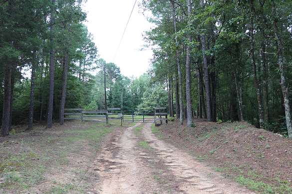 369 Acres of Recreational Land for Sale in Coila, Mississippi