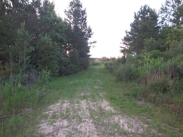 130 Acres of Recreational Land for Sale in Silver Creek, Mississippi