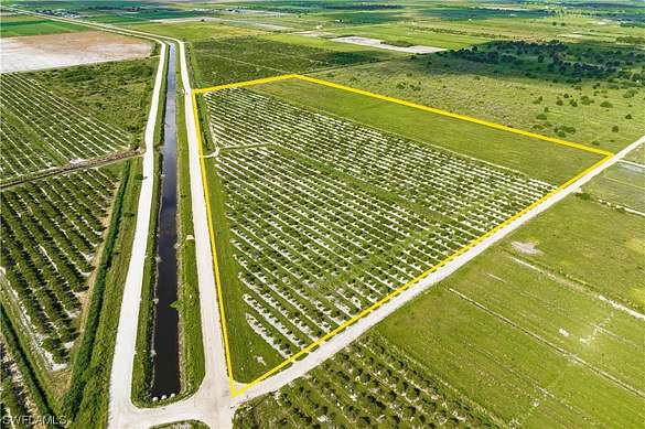 35.3 Acres of Agricultural Land for Sale in LaBelle, Florida