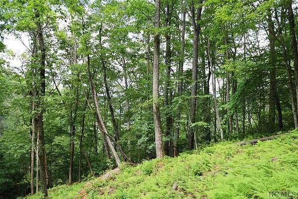 0.5 Acres of Residential Land for Sale in Cashiers, North Carolina