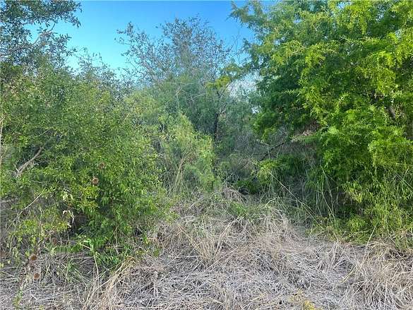 0.06 Acres of Land for Sale in Mathis, Texas
