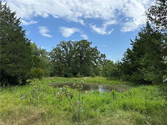 21 Acres of Land for Sale in Bryan, Texas