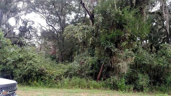 0.24 Acres of Residential Land for Sale in St. Marys, Georgia