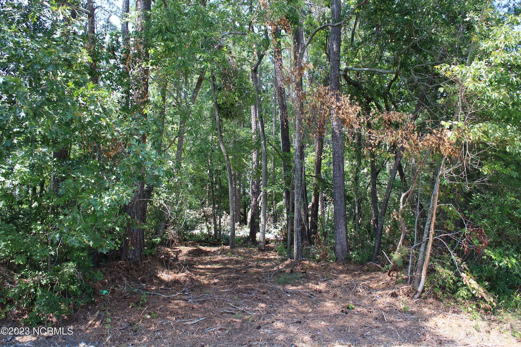 1.5 Acres of Residential Land for Sale in Dortches, North Carolina