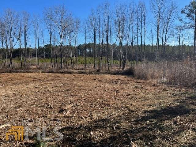 11.7 Acres of Land for Sale in Roopville, Georgia