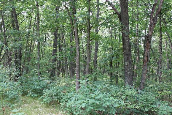 10 Acres of Residential Land with Home for Sale in Wellston, Michigan