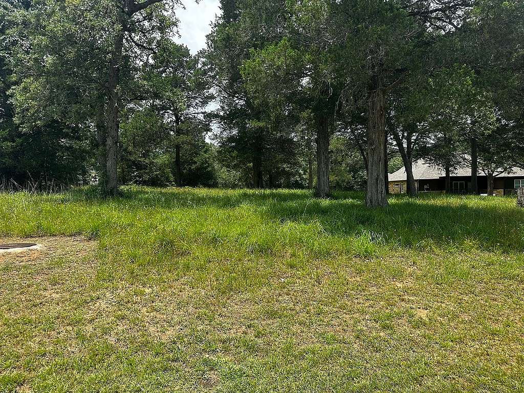 0.313 Acres of Residential Land for Sale in New Ulm, Texas