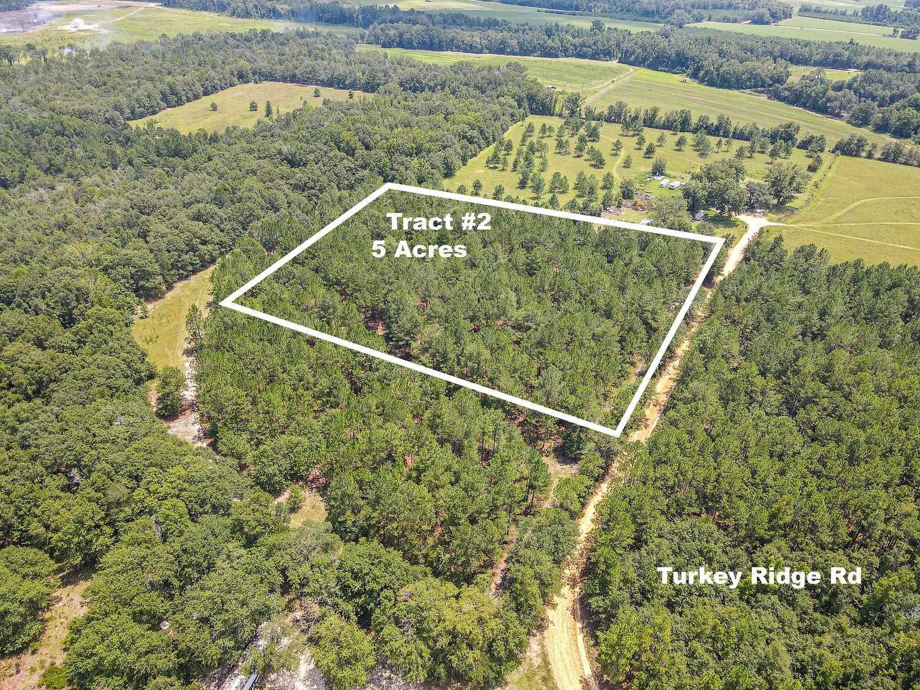 5 Acres of Mixed-Use Land for Sale in Metter, Georgia