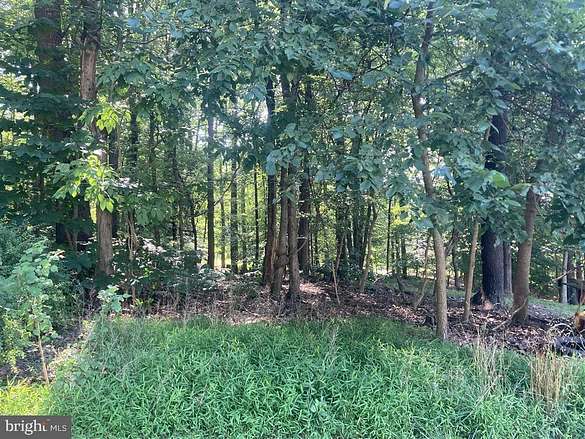0.43 Acres of Residential Land for Sale in Bluemont, Virginia