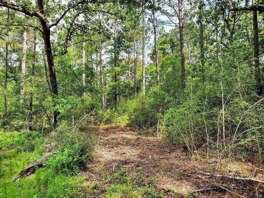 1.5 Acres of Residential Land for Sale in New Waverly, Texas